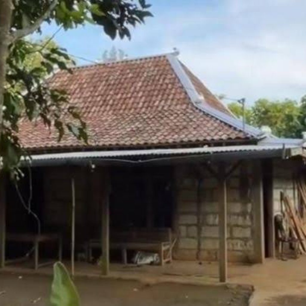 images - 2023-05-30T073923.995